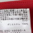 1240101345454_s5.jpg