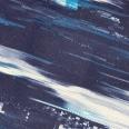 1240101427765_s6.jpg