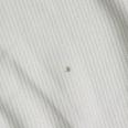 1240101459741_s6.jpg