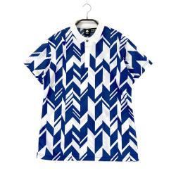 DESCENTE GOLF(デサントゴルフ) ポロシャツ｜中古ゴルフウェア