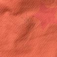 1240101593345_s6.jpg