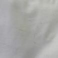 1240101611480_s6.jpg