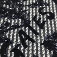 1240101622328_s6.jpg