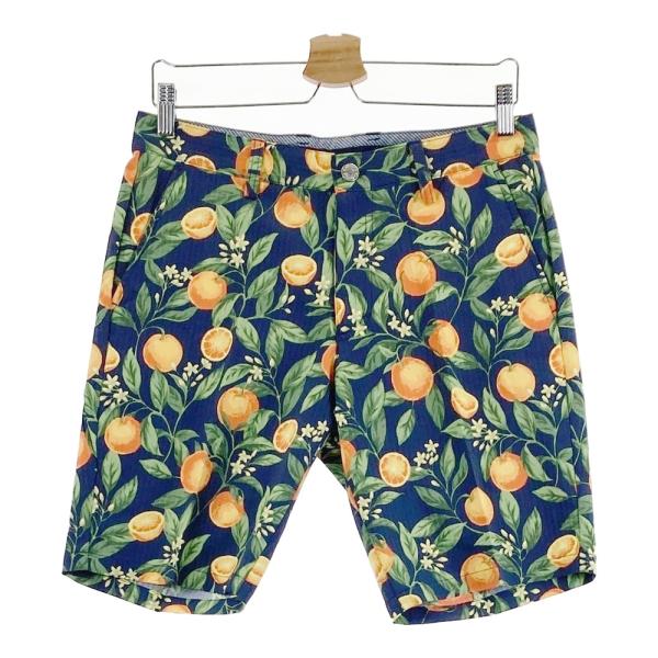 1240101657449_m1.jpg