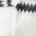 1240101675496_s7.jpg