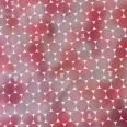 1240101675607_s3.jpg