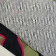 1240101676854_s7.jpg