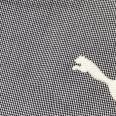 1240101683293_s3.jpg
