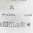 1240101688805_s4.jpg