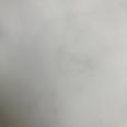 1240101701529_s5.jpg