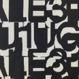 1240101704616_s3.jpg