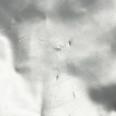 1240101716018_s10.jpg