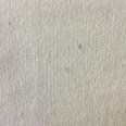 1240101726331_s5.jpg