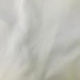 1240101729085_s6.jpg