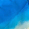 1240101729125_s7.jpg