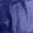 1240101729451_s4.jpg