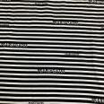 1240101731427_s3.jpg