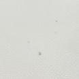 1240101732307_s6.jpg