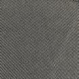 1240101742317_s8.jpg