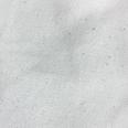 1240101742952_s6.jpg