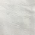 1240101745441_s6.jpg