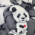 1240101746497_s5.jpg