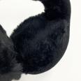 1240101746767_s5.jpg