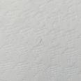 1240101748917_s6.jpg