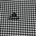 1240101751331_s3.jpg