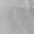 1240101751934_s6.jpg