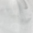 1240101752754_s7.jpg