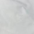 1240101753172_s6.jpg