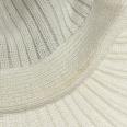 1240101754226_s7.jpg