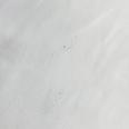1240101754723_s8.jpg