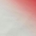1240101755041_s6.jpg
