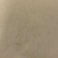 1240101756096_s9.jpg