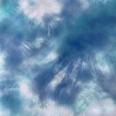 1240101760730_s4.jpg