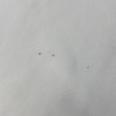 1240101766096_s6.jpg