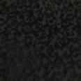 1240101766679_s3.jpg