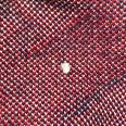 1240101767339_s5.jpg