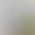 1240101768814_s7.jpg