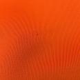 1240101770624_s5.jpg