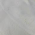 1240101771021_s7.jpg