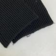 1240101775266_s6.jpg