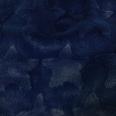 1240101775328_s4.jpg