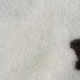 1240101777930_s9.jpg