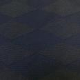 1240101779324_s3.jpg