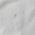 1240101786393_s9.jpg