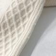 1240101786523_s6.jpg