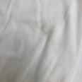 1240101789630_s6.jpg